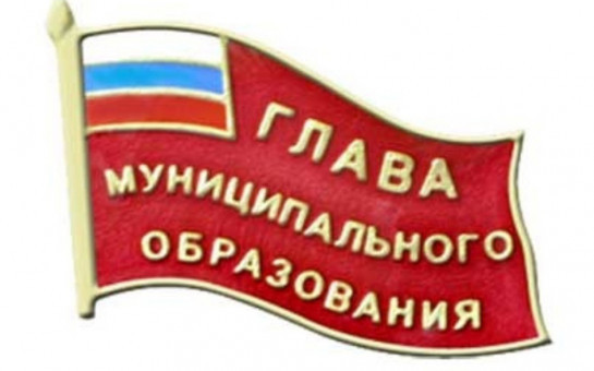 Об избрании Главы  Мирновского  сельсовета Тогучинского района Новосибирской области